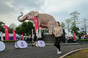 BIB: 
                            <button type="button" onclick="openModal(26528635)" class="btn btn-primary btn-sm float-right btn-popup" data-toggle="modal" data-target=".modal-high-quality">
                        <i class="fas fa-shopping-cart"></i> Add to Cart
                    </button>
                                            <button type="button" onclick="isThisMe(26528635, true)" class="btn btn-success btn-sm float-right btn-popup btn-isme hidden" data-toggle="tooltip" data-placement="bottom" title="นี่คือรูปของคุณใช่ไหม คลิกที่นี่เพื่อเอาเข้าอัลบั้ม">
                        <i class="fas fa-plus"></i> Add to album
                    </button>
                    <button type="button" onclick="isThisMe(26528635, false)" class="btn btn-warning btn-sm float-right btn-popup btn-isnotme hidden">
                        <i class="fas fa-ban"></i> Remove from album
                    </button>